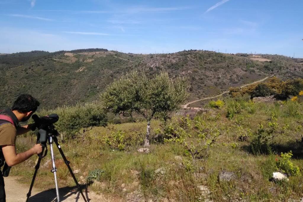Refugio Do Douro Guest House Bemposta  Exterior photo