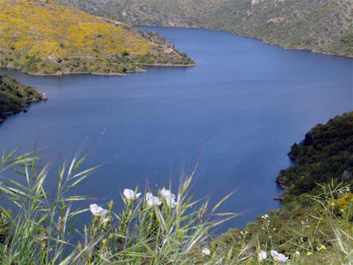 Refugio Do Douro Guest House Bemposta  Exterior photo